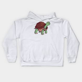 Turtle Kids Hoodie